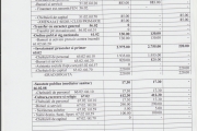 Anexa 1 - Buget (pag. 2)