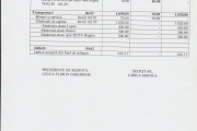 Anexa 1 - Buget (pag. 3)