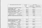 Anexa 2 - Buget (pag. 1)